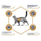 Affinity Advance Veterinary Diet Feline Weight Balance image number null